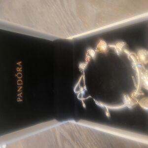 Pandora Silver Charm Necklace And Bracelet Set